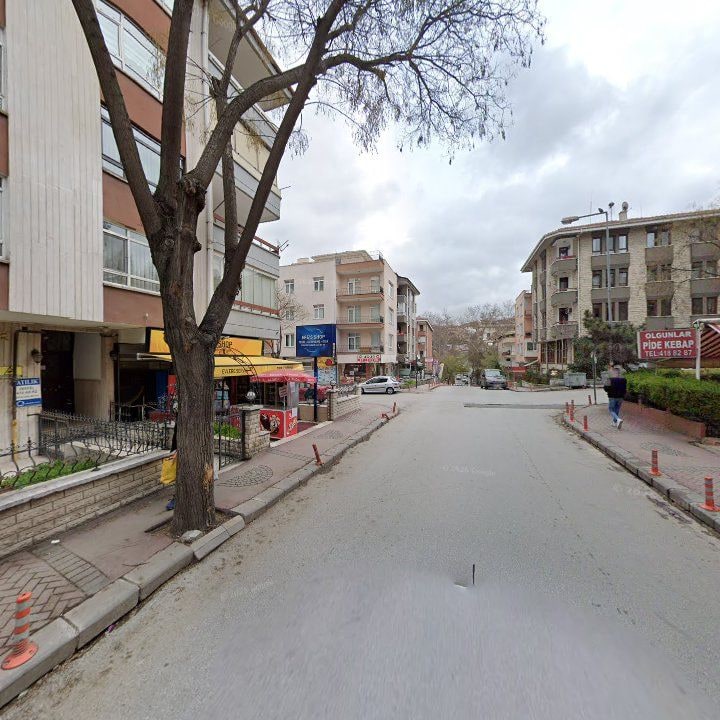 Fotoğraf 11