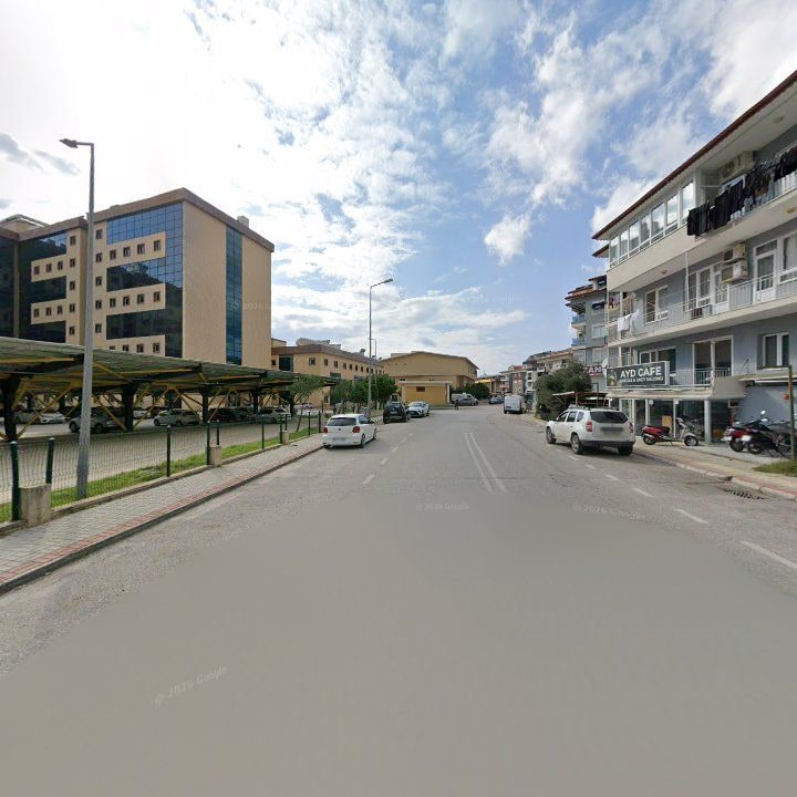 Fotoğraf 6