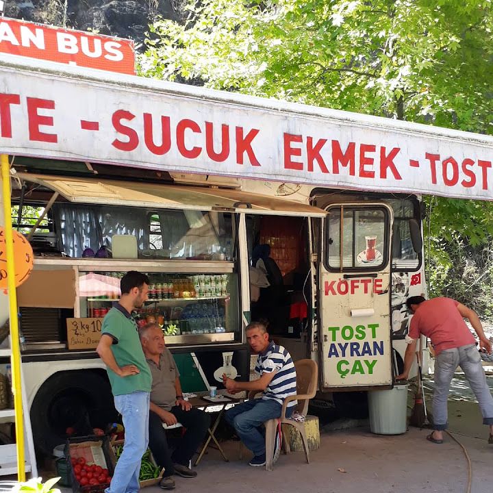 41 Turistik Doyuran Bus