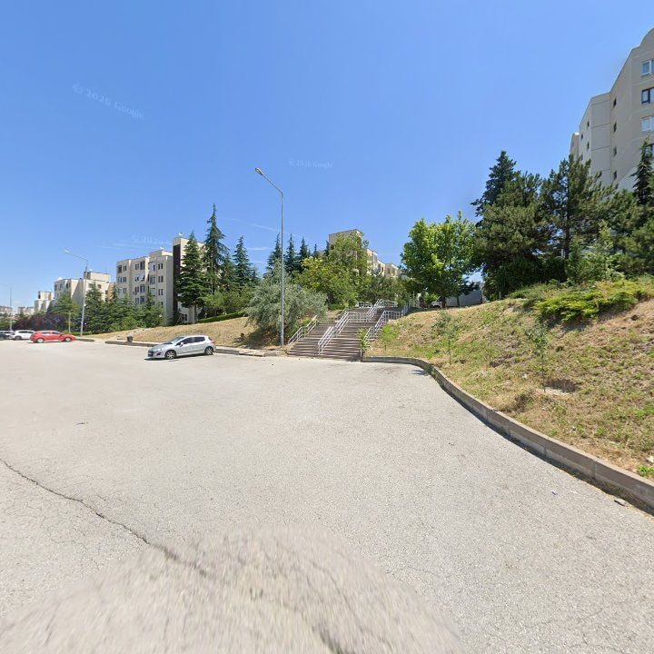 Fotoğraf 10