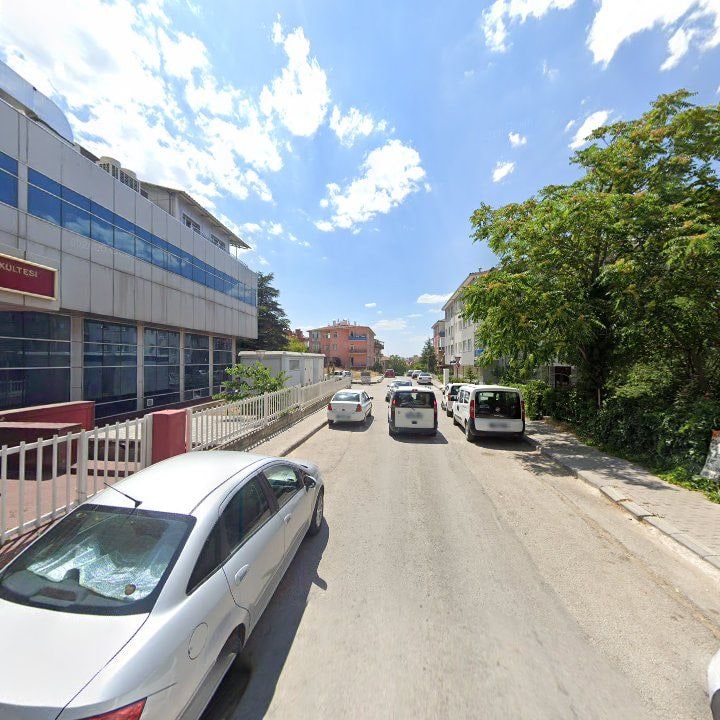 Fotoğraf 9