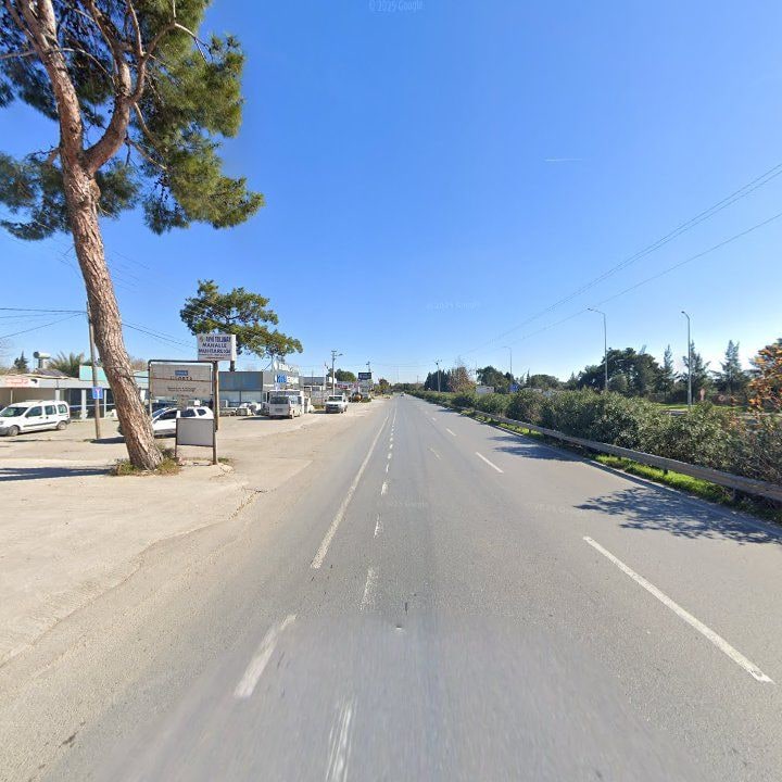 Fotoğraf 9