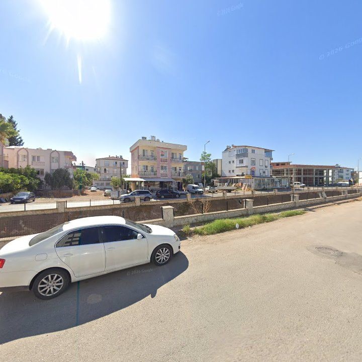 Fotoğraf 9