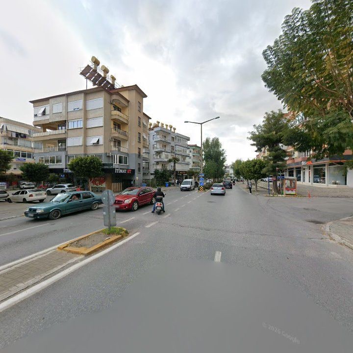 Fotoğraf 10