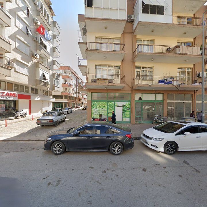 Fotoğraf 7