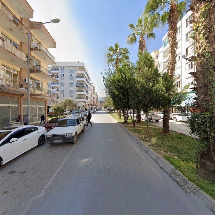 Fotoğraf 8
