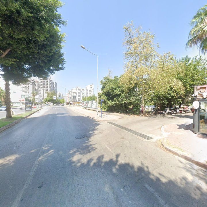 Fotoğraf 13