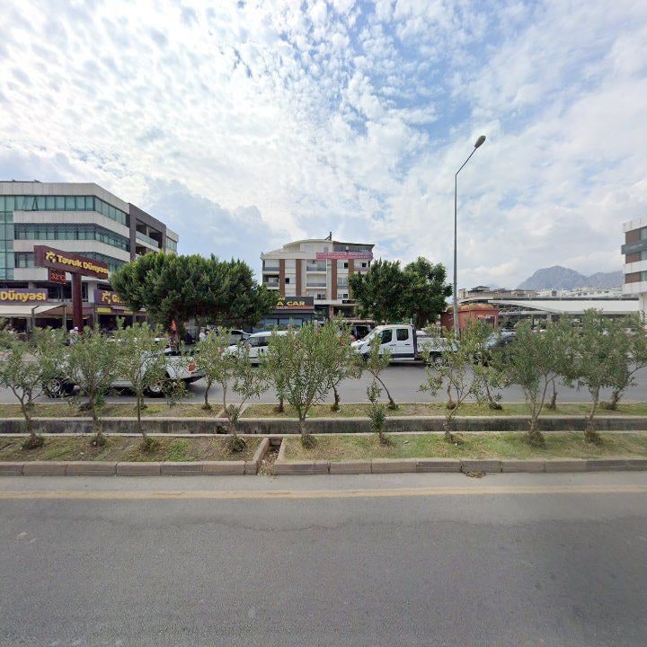 Fotoğraf 10