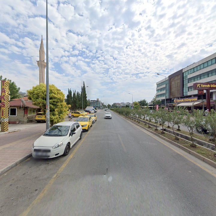 Fotoğraf 9
