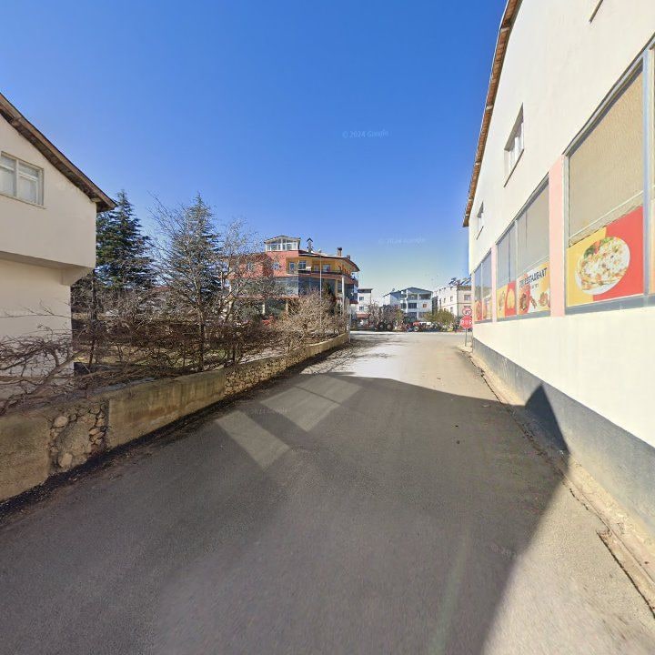 Fotoğraf 8