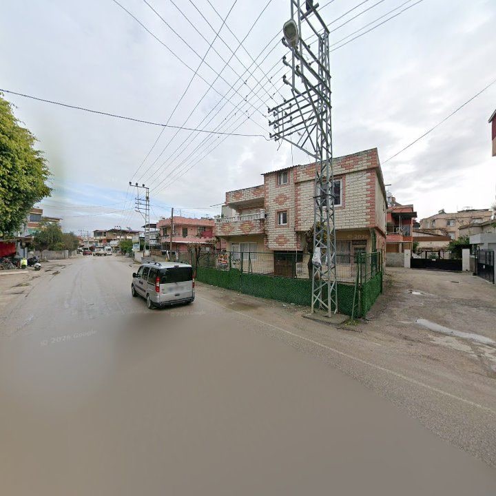 Fotoğraf 9