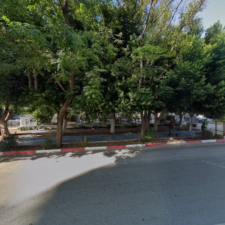 Fotoğraf 16