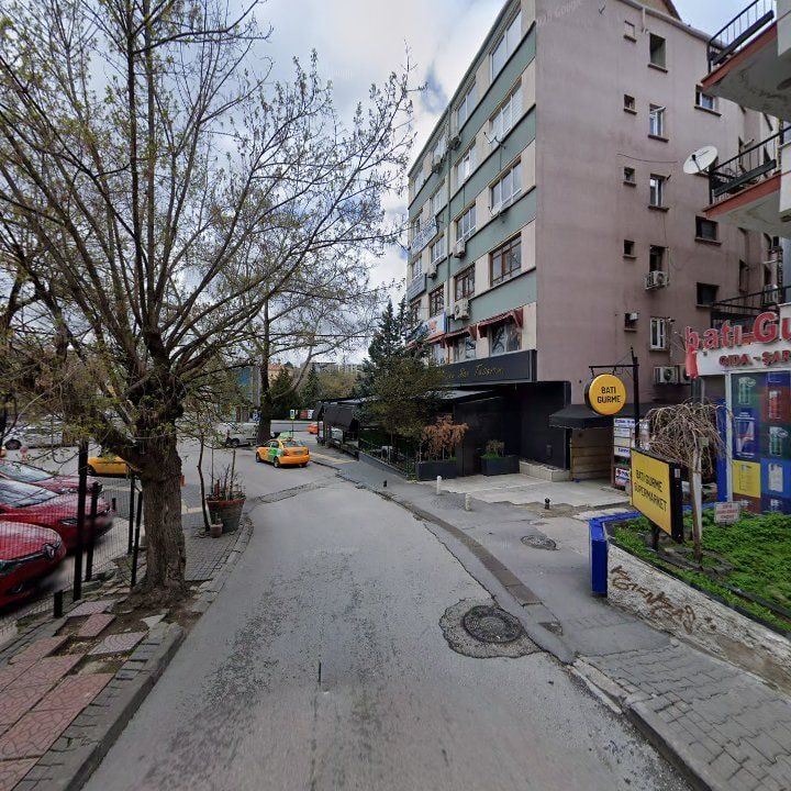 Fotoğraf 11