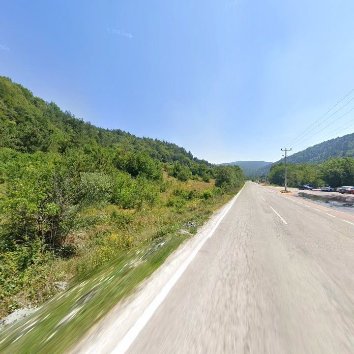 Fotoğraf 11