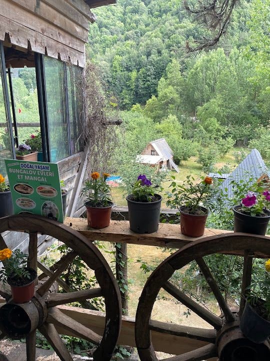 Abant Yolu Doğal Yaşam Tesisleri Bungalov Evleri