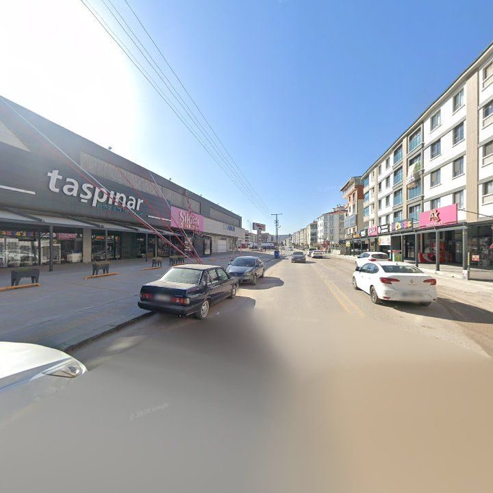 Fotoğraf 12
