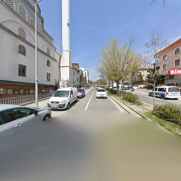 Fotoğraf 10