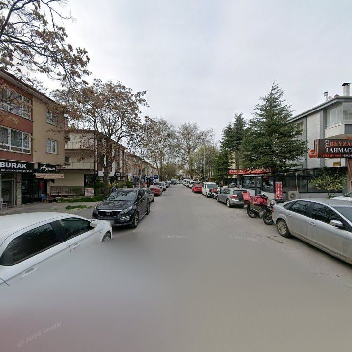 Fotoğraf 11