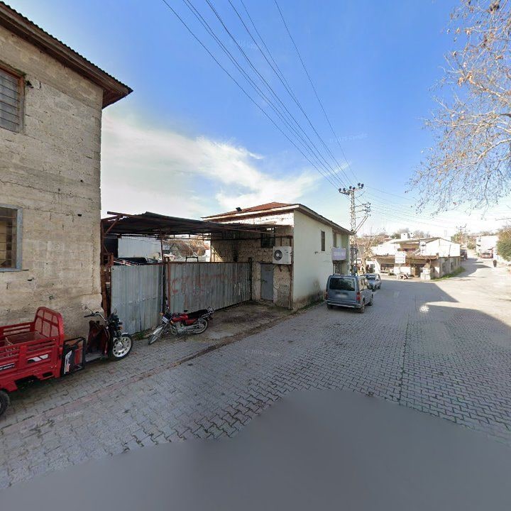 Fotoğraf 8