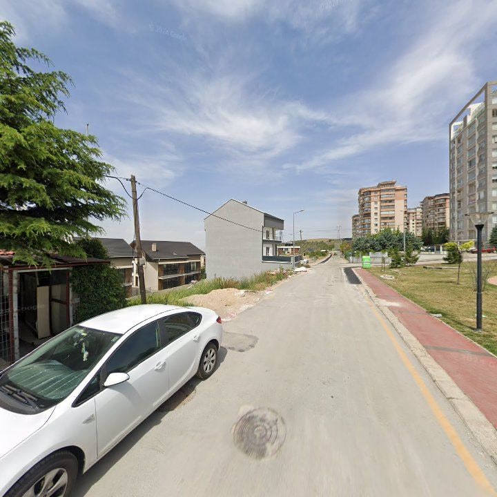 Fotoğraf 7
