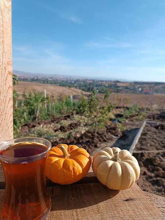 Acar Bahçe Evi