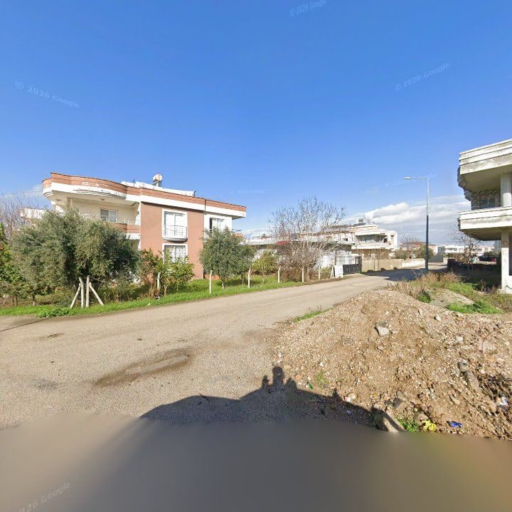 Fotoğraf 4