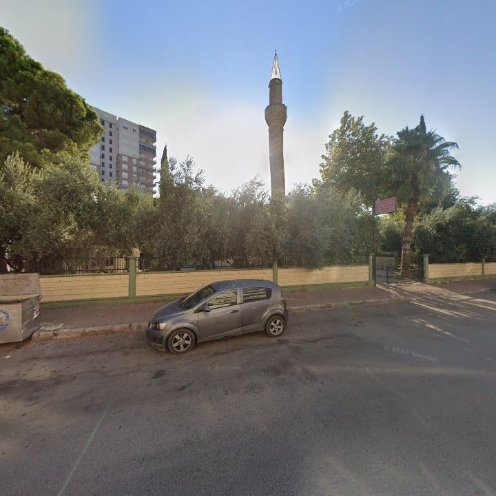 Fotoğraf 8