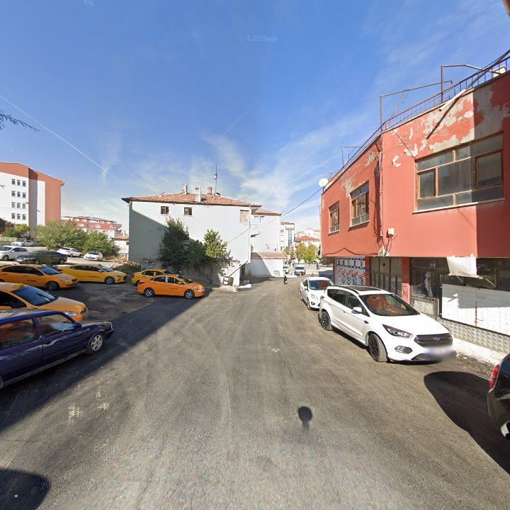 Fotoğraf 8