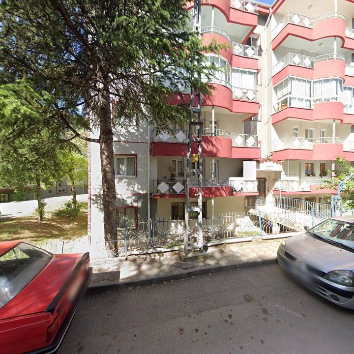 Fotoğraf 11