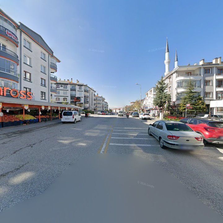 Fotoğraf 10