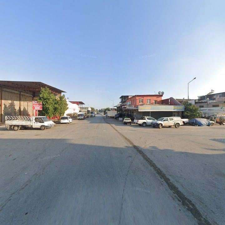 Fotoğraf 6