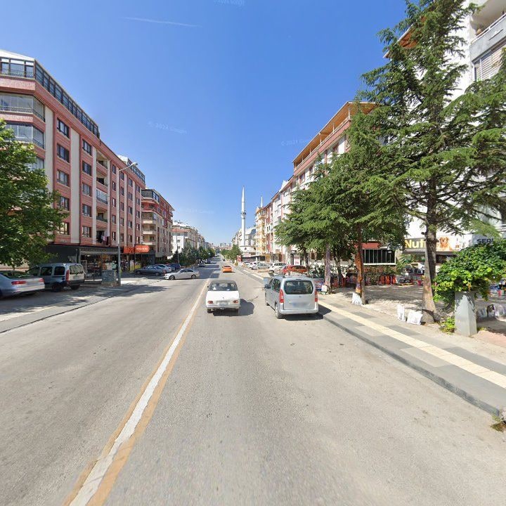 Fotoğraf 9