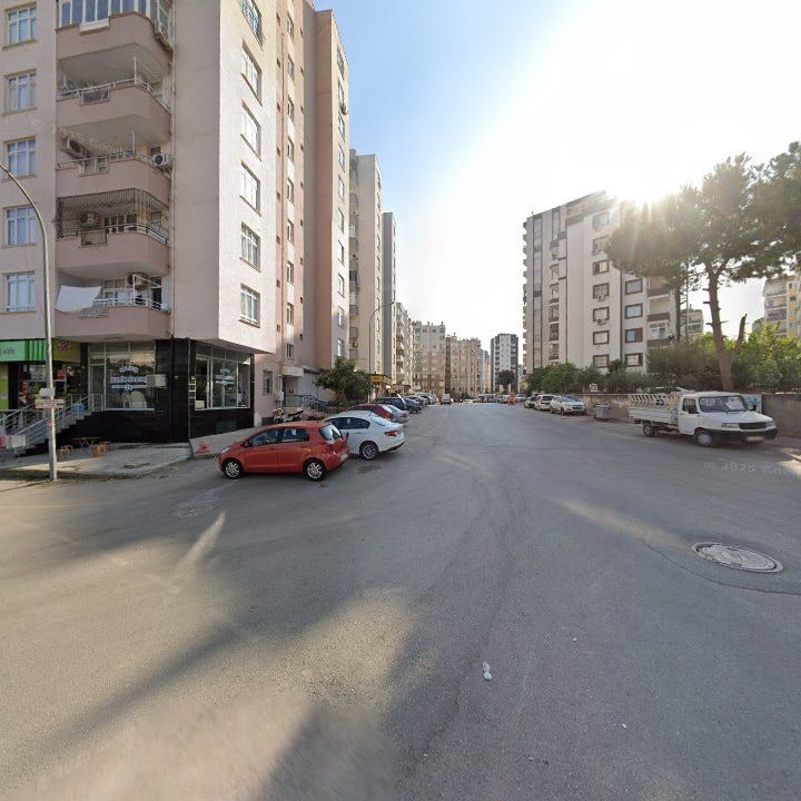 Fotoğraf 7