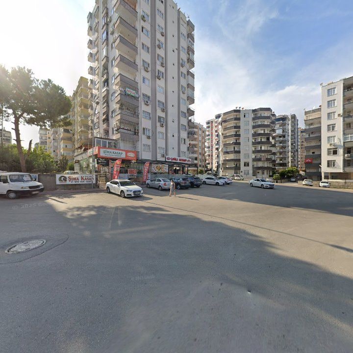 Fotoğraf 8