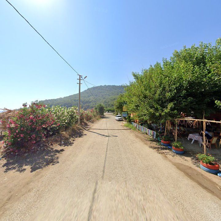 Fotoğraf 7
