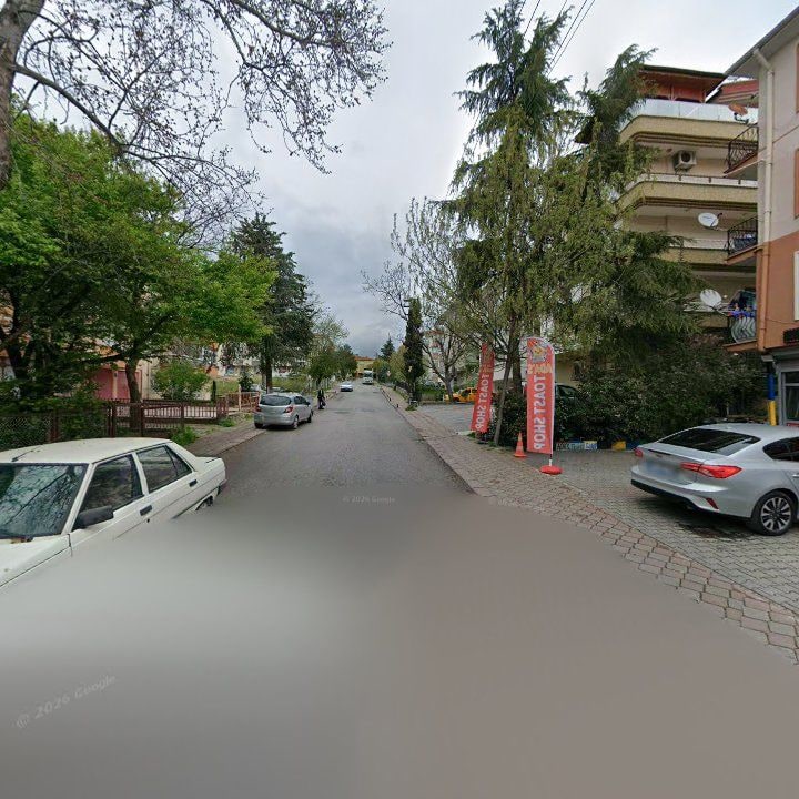 Fotoğraf 8