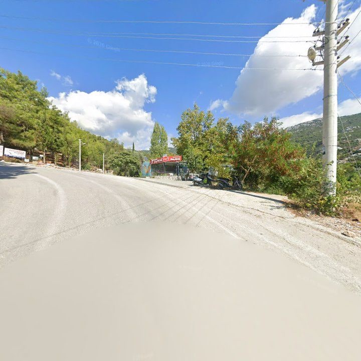 Fotoğraf 10