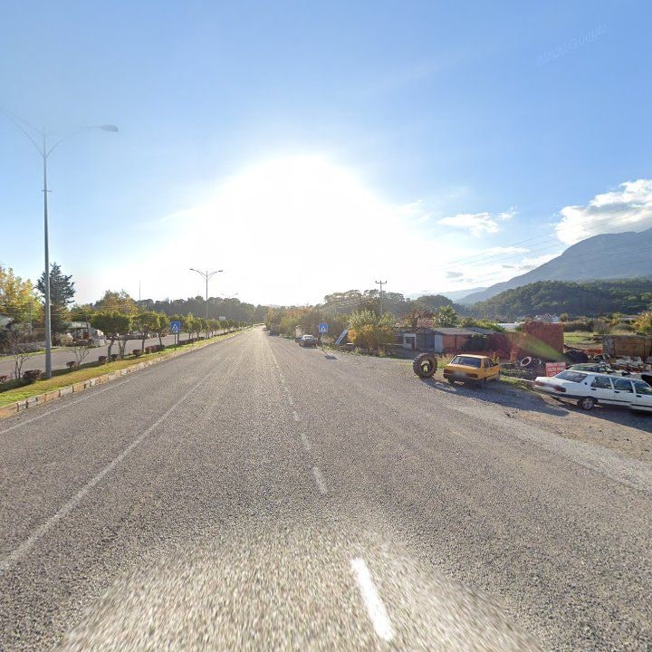 Fotoğraf 11