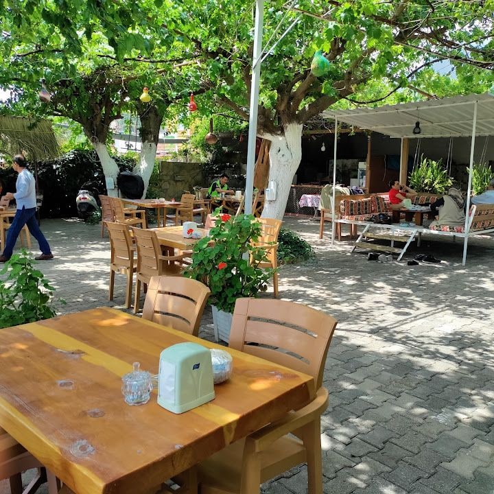Fotoğraf 6