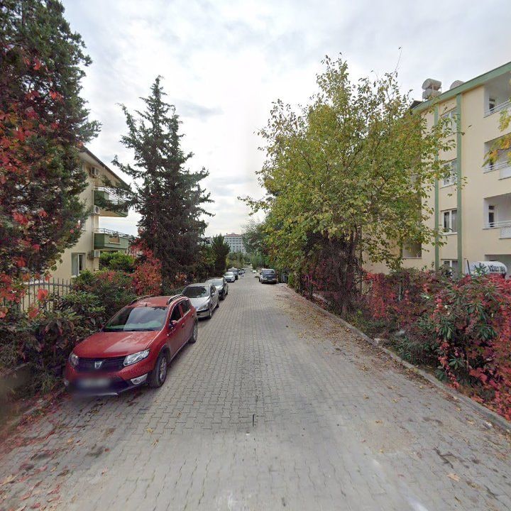 Fotoğraf 10