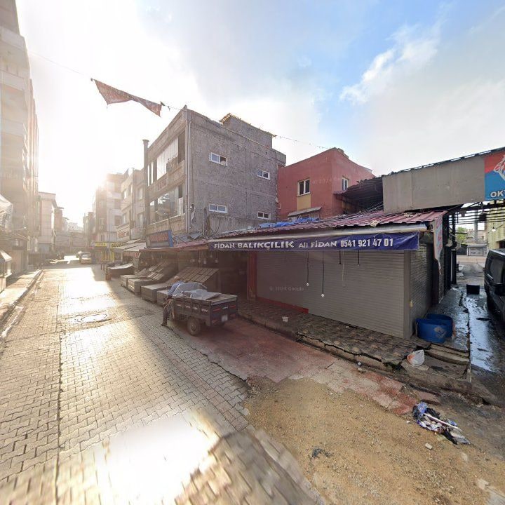 Fotoğraf 8
