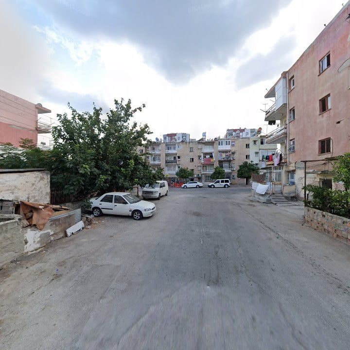 Fotoğraf 8