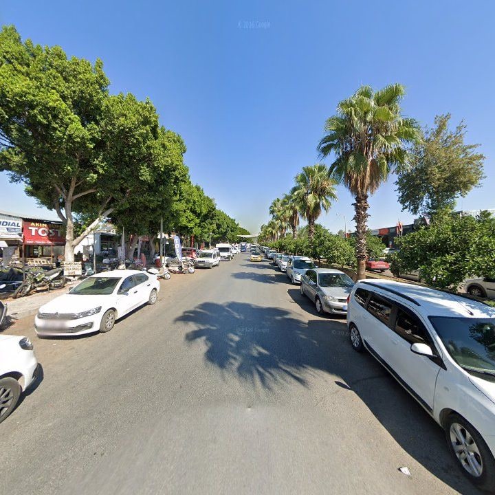 Fotoğraf 8