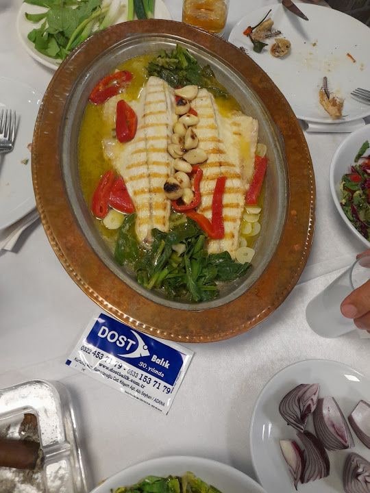 Fotoğraf 4