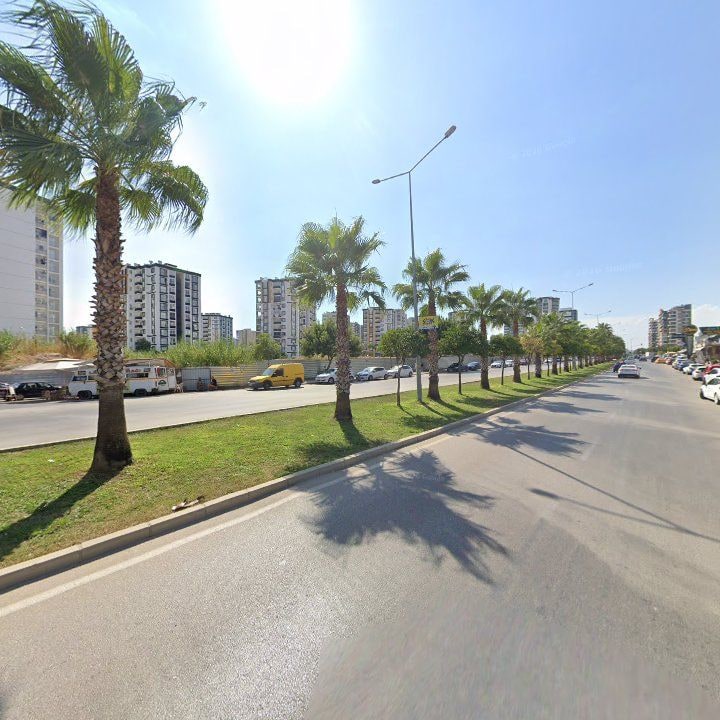 Fotoğraf 9