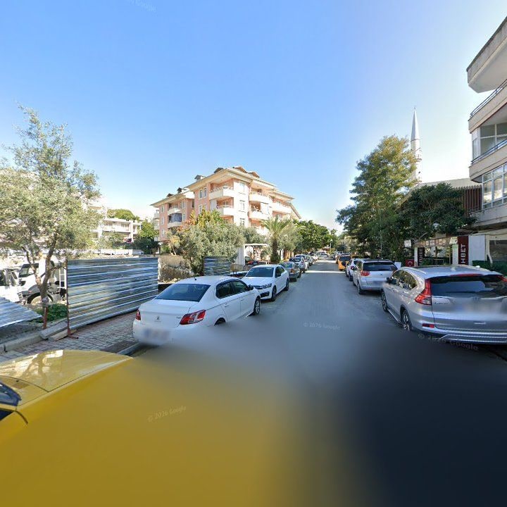 Fotoğraf 8