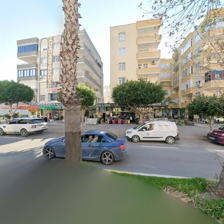 Fotoğraf 10