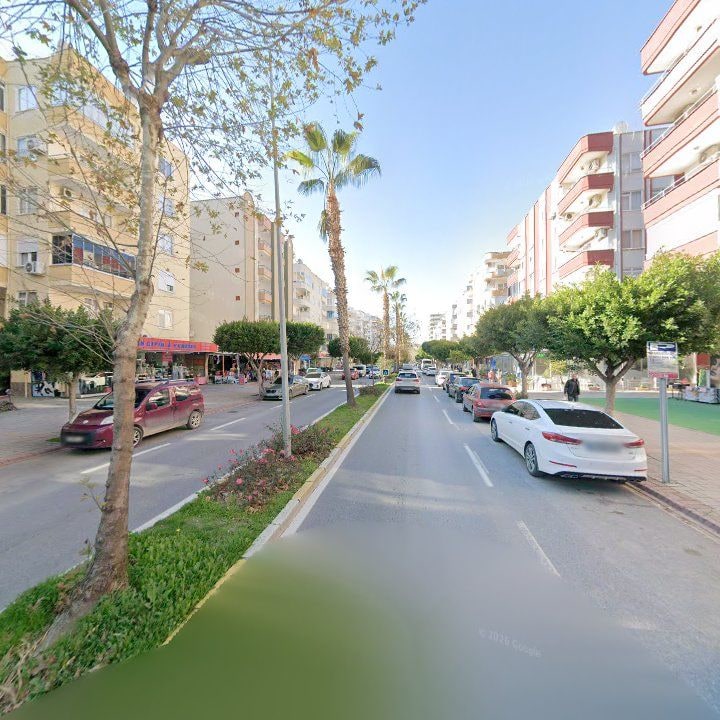 Fotoğraf 11