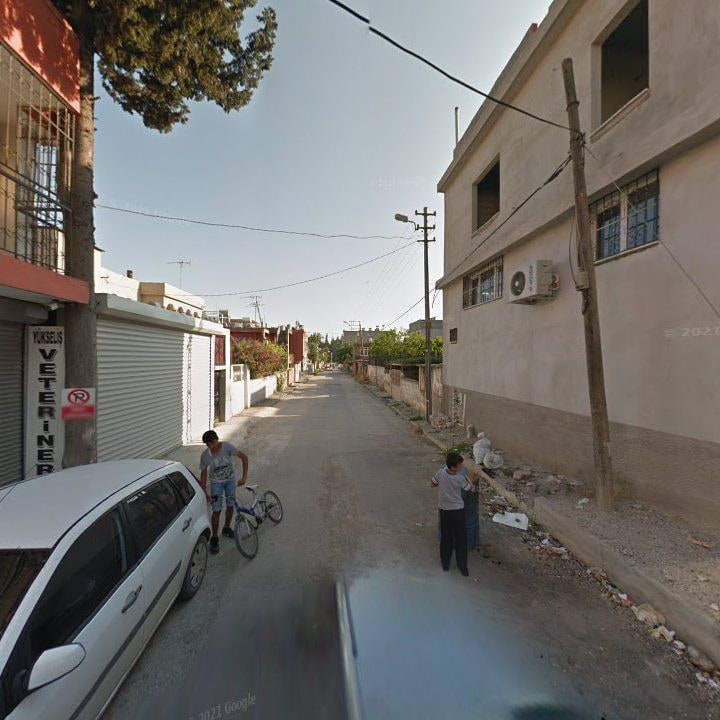 Fotoğraf 10