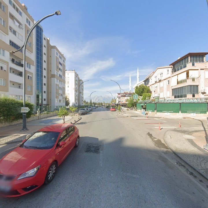 Fotoğraf 7